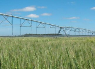 Agua en agricultura: Del monitoreo a la acción para cuidar cada gota JTNDIS0tJTIwJTJGMjE4NTIwNzQ5NDElMkZwYWxhYnJhZGVjYW1wbyUyRjElMjAtLSUzRSUwQSUzQ2RpdiUyMGlkJTNEJ2Rpdi1ncHQtYWQtMTc3NTcwODA1MDA5MC0wJyUyMHN0eWxlJTNEJ21pbi13aWR0aCUzQSUyMDMwMHB4JTNCJTIwbWluLWhlaWdodCUzQSUyMDI1MHB4JTNCJyUzRSUwQSUyMCUyMCUzQ3NjcmlwdCUzRSUwQSUyMCUyMCUyMCUyMGdvb2dsZXRhZy5jbWQucHVzaChmdW5jdGlvbigpJTIwJTdCJTIwZ29vZ2xldGFnLmRpc3BsYXkoJ2Rpdi1ncHQtYWQtMTc3NTcwODA1MDA5MC0wJyklM0IlMjAlN0QpJTNCJTBBJTIwJTIwJTNDJTJGc2NyaXB0JTNFJTBBJTNDJTJGZGl2JTNFJTNDIS0tJTIwJTJGMjE4NTIwNzQ5NDElMkZwYWxhYnJhZGVjYW1wbyUyRlNpZGViYXItMiUyMC0tJTNFJTBBJTNDZGl2JTIwaWQlM0QnZGl2LWdwdC1hZC0xNzc1Nzg5NzUzNDYzLTAnJTIwc3R5bGUlM0QnbWluLXdpZHRoJTNBJTIwMzAwcHglM0IlMjBtaW4taGVpZ2h0JTNBJTIwMjUwcHglM0InJTNFJTBBJTIwJTIwJTNDc2NyaXB0JTNFJTBBJTIwJTIwJTIwJTIwZ29vZ2xldGFnLmNtZC5wdXNoKGZ1bmN0aW9uKCklMjAlN0IlMjBnb29nbGV0YWcuZGlzcGxheSgnZGl2LWdwdC1hZC0xNzc1Nzg5NzUzNDYzLTAnKSUzQiUyMCU3RCklM0IlMEElMjAlMjAlM0MlMkZzY3JpcHQlM0UlMEElM0MlMkZkaXYlM0U=JTNDZGl2JTIwaWQlM0QnZGl2LWdwdC1hZC0xNzc1Nzg5NzUzNDYzLTAnJTIwc3R5bGUlM0QnbWluLXdpZHRoJTNBJTIwMzAwcHglM0IlMjBtaW4taGVpZ2h0JTNBJTIwMjUwcHglM0InJTNFJTBBJTIwJTIwJTNDc2NyaXB0JTNFJTBBJTIwJTIwJTIwJTIwZ29vZ2xldGFnLmNtZC5wdXNoKGZ1bmN0aW9uKCklMjAlN0IlMjBnb29nbGV0YWcuZGlzcGxheSgnZGl2LWdwdC1hZC0xNzc1Nzg5NzUzNDYzLTAnKSUzQiUyMCU3RCklM0IlMEElMjAlMjAlM0MlMkZzY3JpcHQlM0UlMEElM0MlMkZkaXYlM0U=