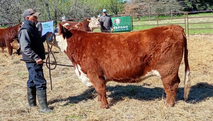 WhatsApp Image 2025 08 25 at 1.23.55 PM 1