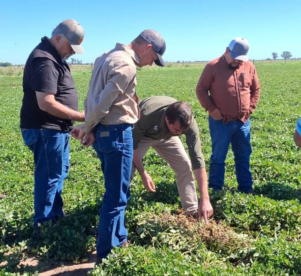 Delegación técnica revisa prácticas de fertilización de precisión en maní argentino Delegación técnica revisa prácticas de fertilización de precisión en maní argentino