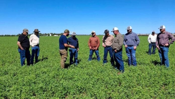 WhatsApp Image 2026 03 24 at 15.32.58