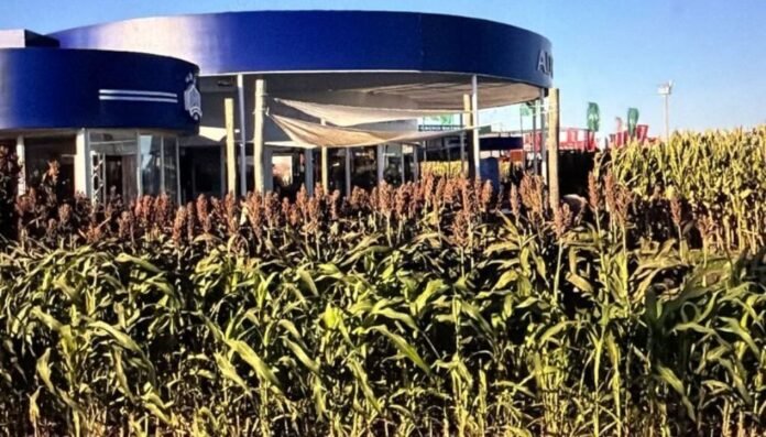 WhatsApp Image 2026 04 07 at 3.54.53 PM