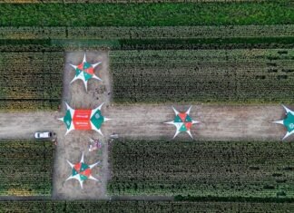 Cómo agronomía, genética y condiciones comerciales determinan el rendimiento y rentabilidad del negocio del maíz WhatsApp Image 2026 04 14 at 3.02.22 PM