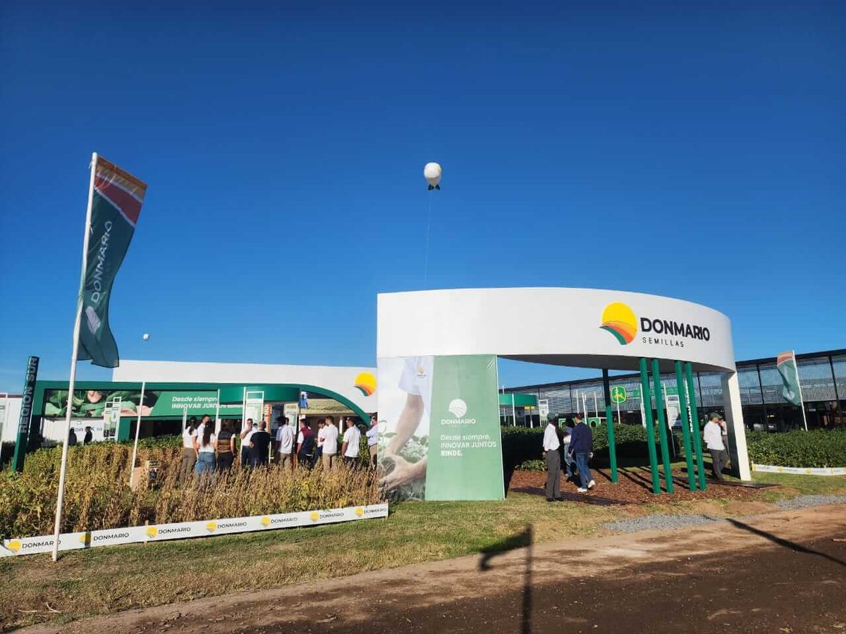 El trigo se prepara para la siembra