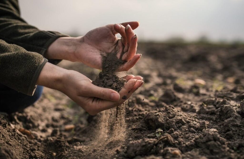 análisis de suelo en campo argentino fertilidad y carbono