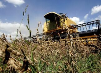 Cosecha de soja con apuro y pronósticos inciertos