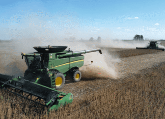 Soja en pausa por abundantes lluvias y atraso récord de cosecha mientras mercado se tensa cosecha soja fyo 2