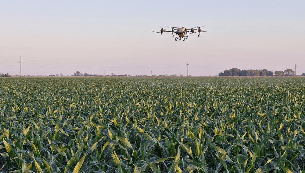 cultivo soja trigo argentina desarrollo campo rentabilidad agro