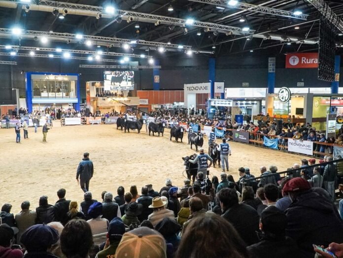 La Expo Angus 2026 de Otoño volverá a reunir en Palermo a los principales actores de la ganadería argentina con foco en genética y negocios.