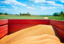 El primer cuatrimestre de 2026 marca un récord en exportaciones agroindustriales