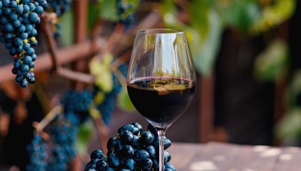 glass with red wine on a wooden barrel in the vine 2026 03 19 22 50 09 utc