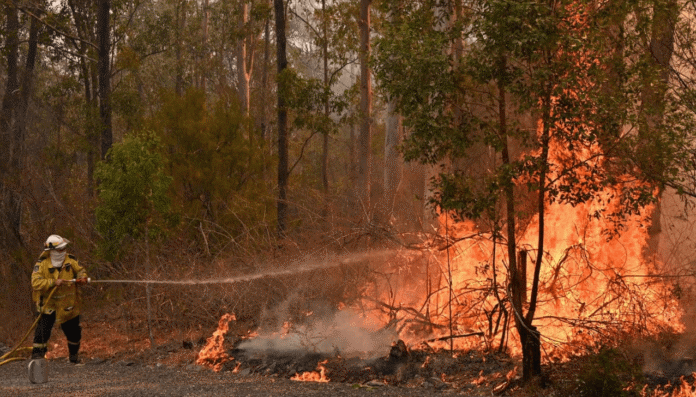 incendio forestal afoa