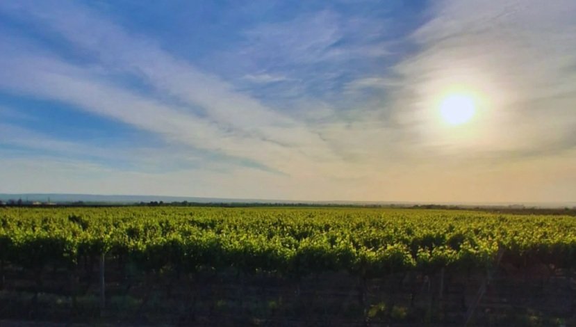 Con el objetivo de transformar sectores relegados de las fincas, diseñan herramientas para poner en valor espacios que no son productivos y fortalecer servicios ecosistémicos.