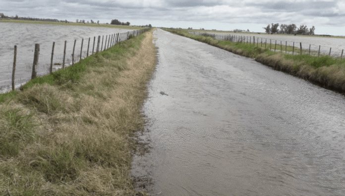 Camino rural y campos cubiertos parcialmente por agua.