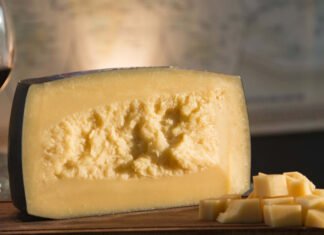 Municipio bonaerense impulsa agroturismo con apoyo universitario para mostrar quesos vinos y destilados artesanales queso