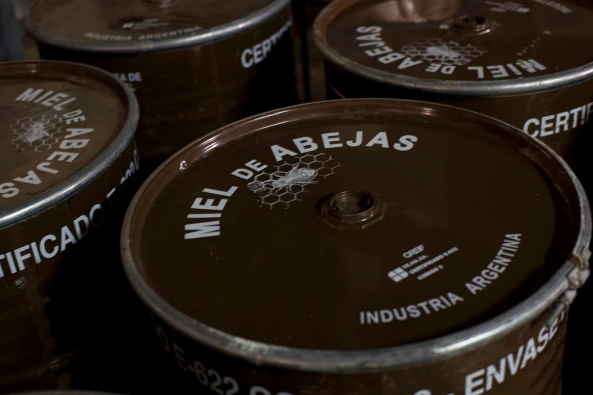 Un mercado que se recupera: las exportaciones del agro también crecen de manera "orgánica" 6 mail 1