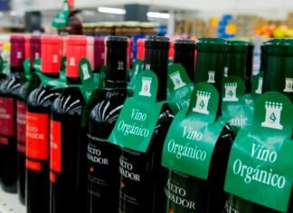 Recuperación del mercado internacional impulsa crecimiento sostenido y orgánico de las exportaciones agropecuarias nacionales mail