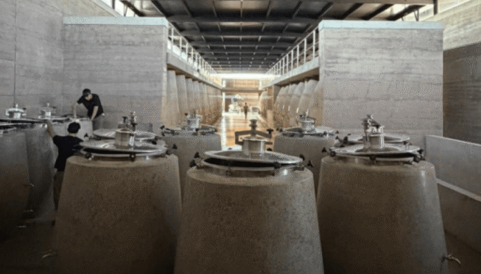 nueva bodega santa julia