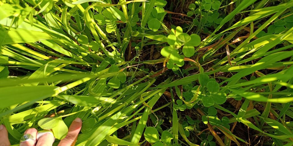 En el Día Mundial del Agua, repasamos el paso a paso para su correcto monitoreo y estrategias para garantizar su uso eficiente y sustentable. Por Aapresid.