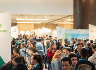 De rendimiento a rentabilidad la campaña fina de trigo inicia con esperanza de repetir éxito summit agro a todo trigo