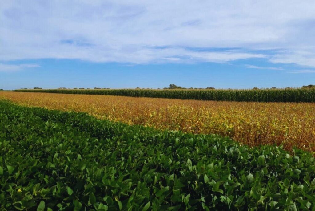 prácticas de agricultura sustentable rotación de cultivos Argentina
