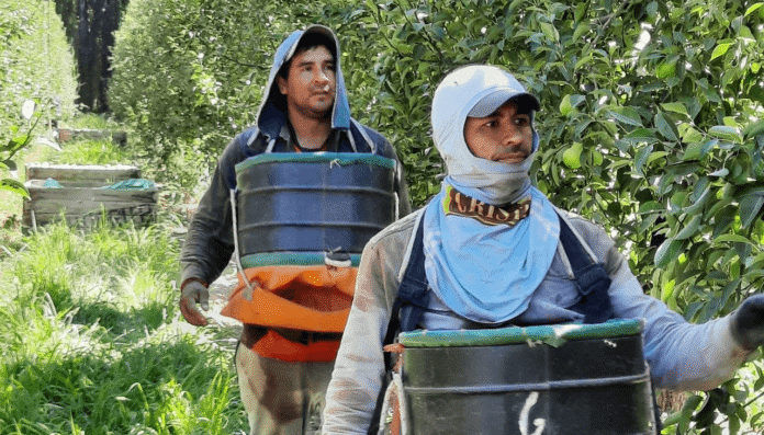 trabajador rural renatre