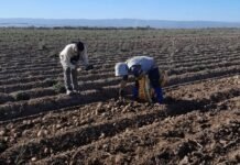 El RENATRE y la Secretaría de Trabajo de La Pampa fortalecen la articulación para agilizar el acceso a la prestación por desempleo