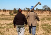 El RENATRE otorgó 5 becas de estudio a jóvenes de todo el país para la Diplomatura en Políticas Públicas Agropecuarias (F. CRA – UCA)