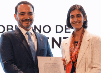 Corrientes recibe 2.000 millones de dólares para construir la mayor planta de fibra de pino valdez proyecto pino