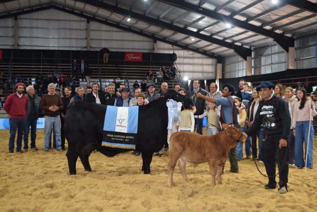 Gran Campeón Hembra Cabaña El Impenetrable