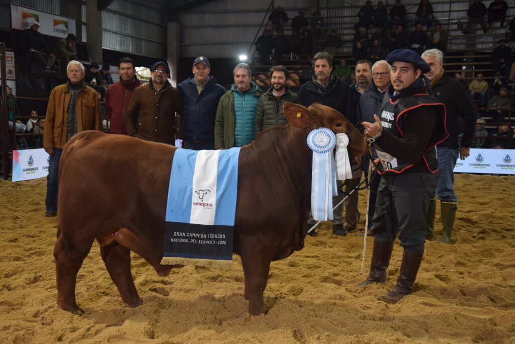 El secretario de Agricultura, Ganadería y Pesca de la Nación pasó por las NACIONALES, donde destacó el nivel de la muestra organizada con la fuerza de Expoagro edición YPF Agro en la Sociedad Rural de Corrientes.