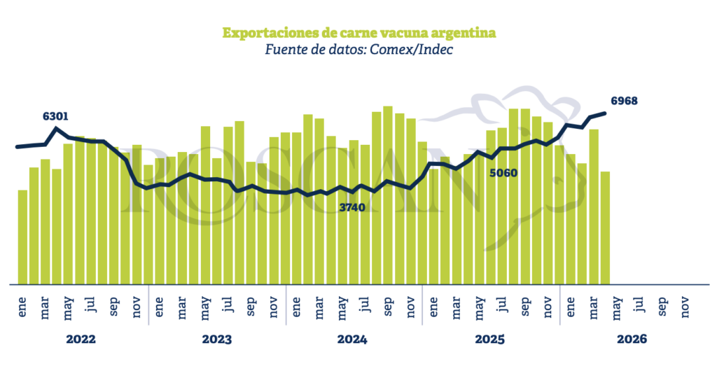 Con nuevos récords en valores, las exportaciones de carne vacuna volvieron a mostrar en abril una fuerte caída en volumen, tras la recuperación registrada el mes previo.