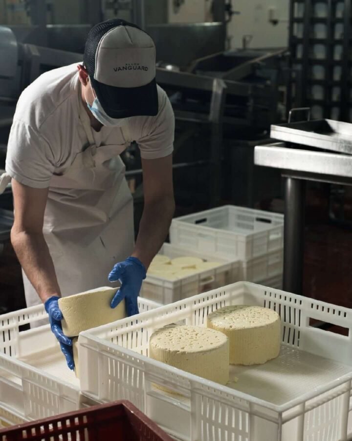 En Alloa Vanguard trabajamos dia a dia para llevar a tu mesa productos decalidad elaborados con