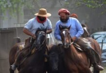 Luciano Trangoni, una mirada experta que marca la diferencia en los Caballos Criollos