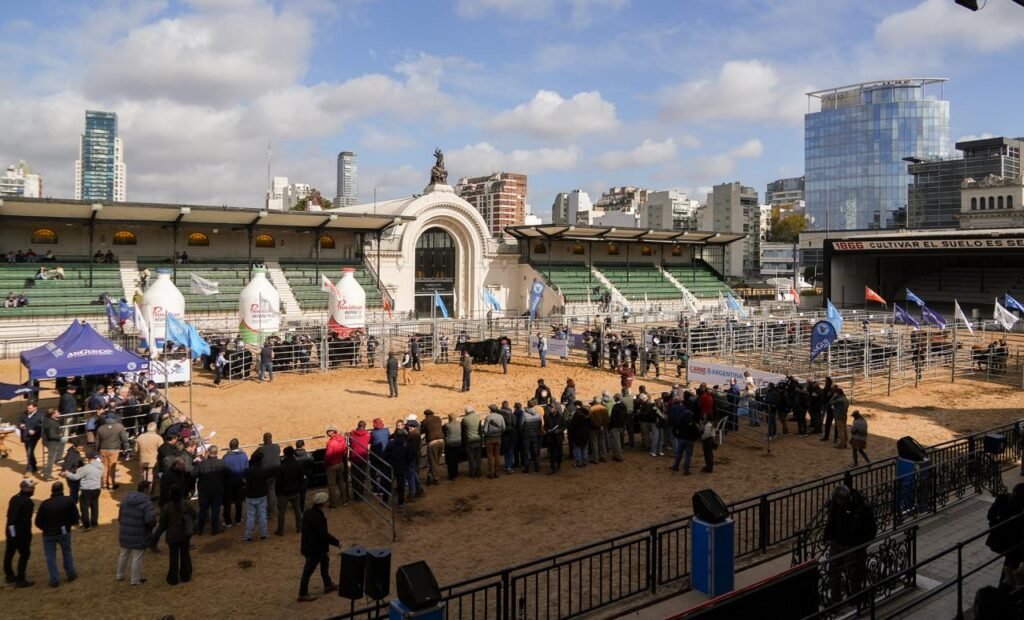 La Expo Angus de Otoño reunió más de 1000 animales y dejó señales de optimismo para el futuro de la ganadería argentina.
