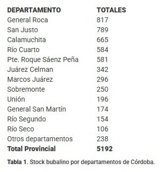 Rebaño de búfalos en la provincia de Córdoba