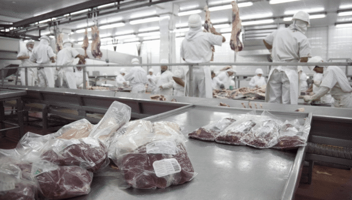 carne exportacion sagyp