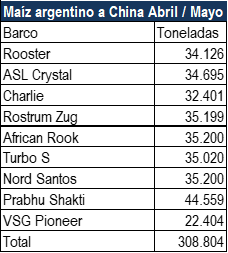 Ya partieron 9 barcos: el maíz argentino se abre paso firme en el camino exportador hacia China 2 expoz maiz china
