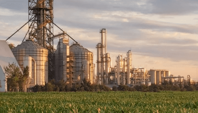 planta bioetanol secretaria agricultura