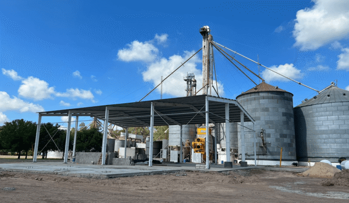 planta extrusora de soja
