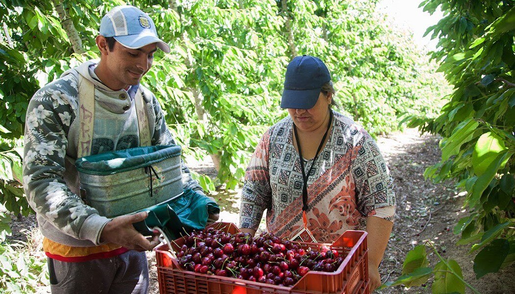 trabajadores rurales renatre