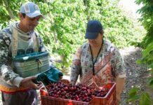La Certificación Empresarial en Prácticas Laborales Sostenibles del RENATRE fue declarada de interés por la legislatura de Santa Fe