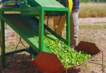 Desarrollan una picadora para optimizar la alimentación ganadera en zonas áridas