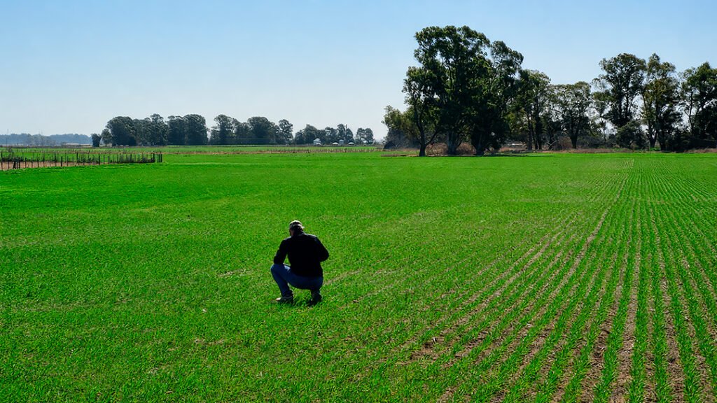 La compañía participará del Congreso Aapresid 2026 con la fuerza de Expoagro para presentar sus soluciones en fertilización líquida, compartir conocimientos técnicos y reafirmar su apuesta por una agricultura más eficiente.