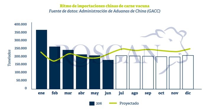 Antes de finalizar la primera mitad del año, tanto Australia como Brasil habrían quedado, virtualmente, fuera de juego en el mercado chino.