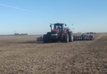 Trigo: La siembra acelera mientras crecen los costos de producción