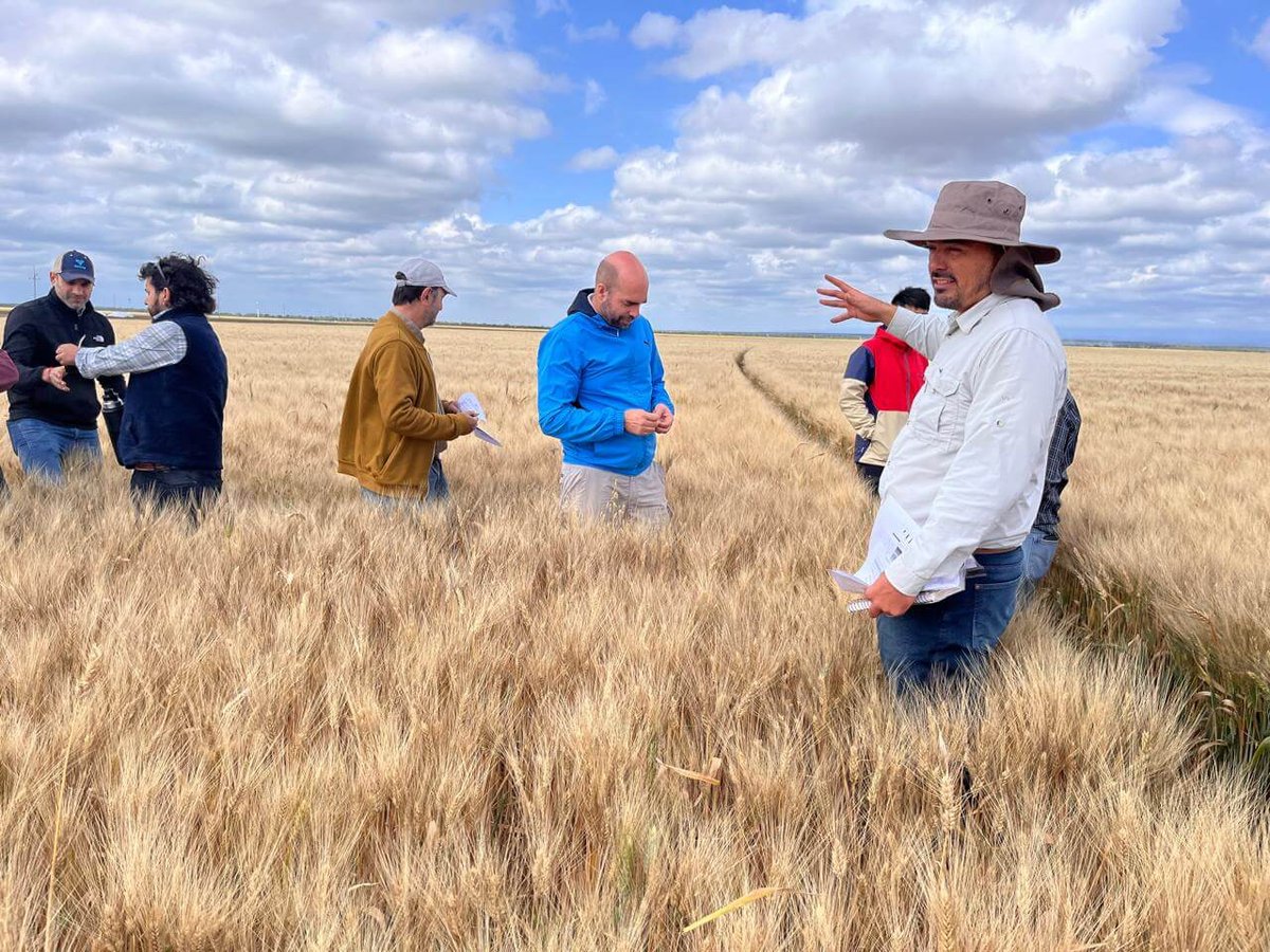 Latitud 28: la “chacra” del NOA que, con el riego, desafía los límites y quiere hacer historia 1 Arroyo con productores a campo