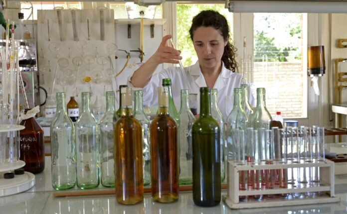Bodega la vendimia