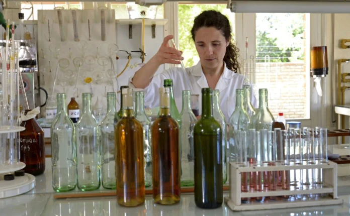 Bodega la vendimia