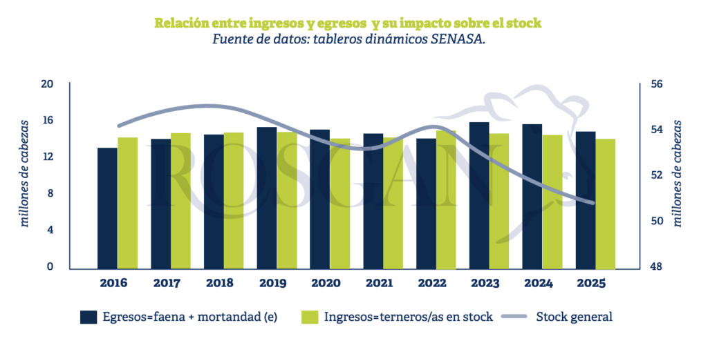 Los datos de mayo confirman una caída sostenida de la faena: fue el decimotercer mes consecutivo con retrocesos interanuales en las remisiones a plantas, una tendencia que refleja una creciente restricción de la oferta en el mercado.