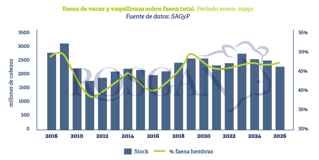 La faena de hembras es uno de los indicadores más observados para anticipar cambios en el ciclo ganadero, ya que permite detectar señales tempranas sobre procesos de expansión, estabilización o liquidación del stock.